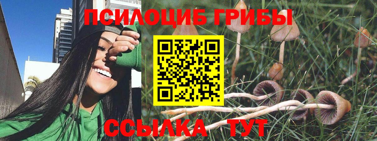 Псилоцибиновые грибы GOLDEN TEACHER Тольятти
