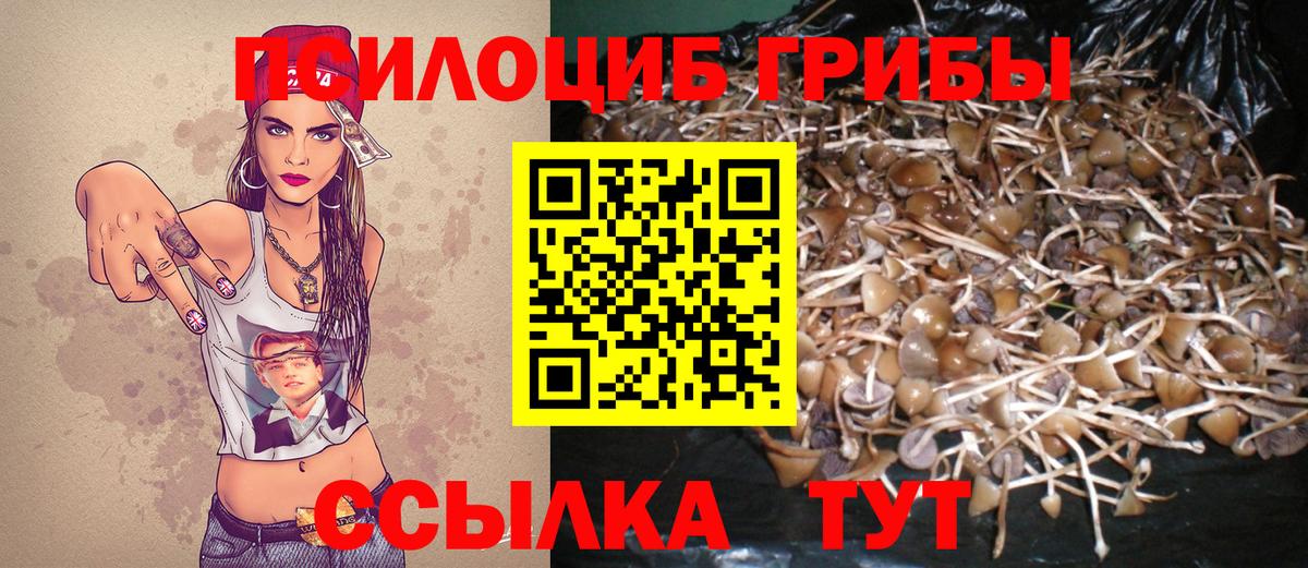 Тольятти  Псилоцибиновые грибы Psilocybine cubensis  Вход с VPN 